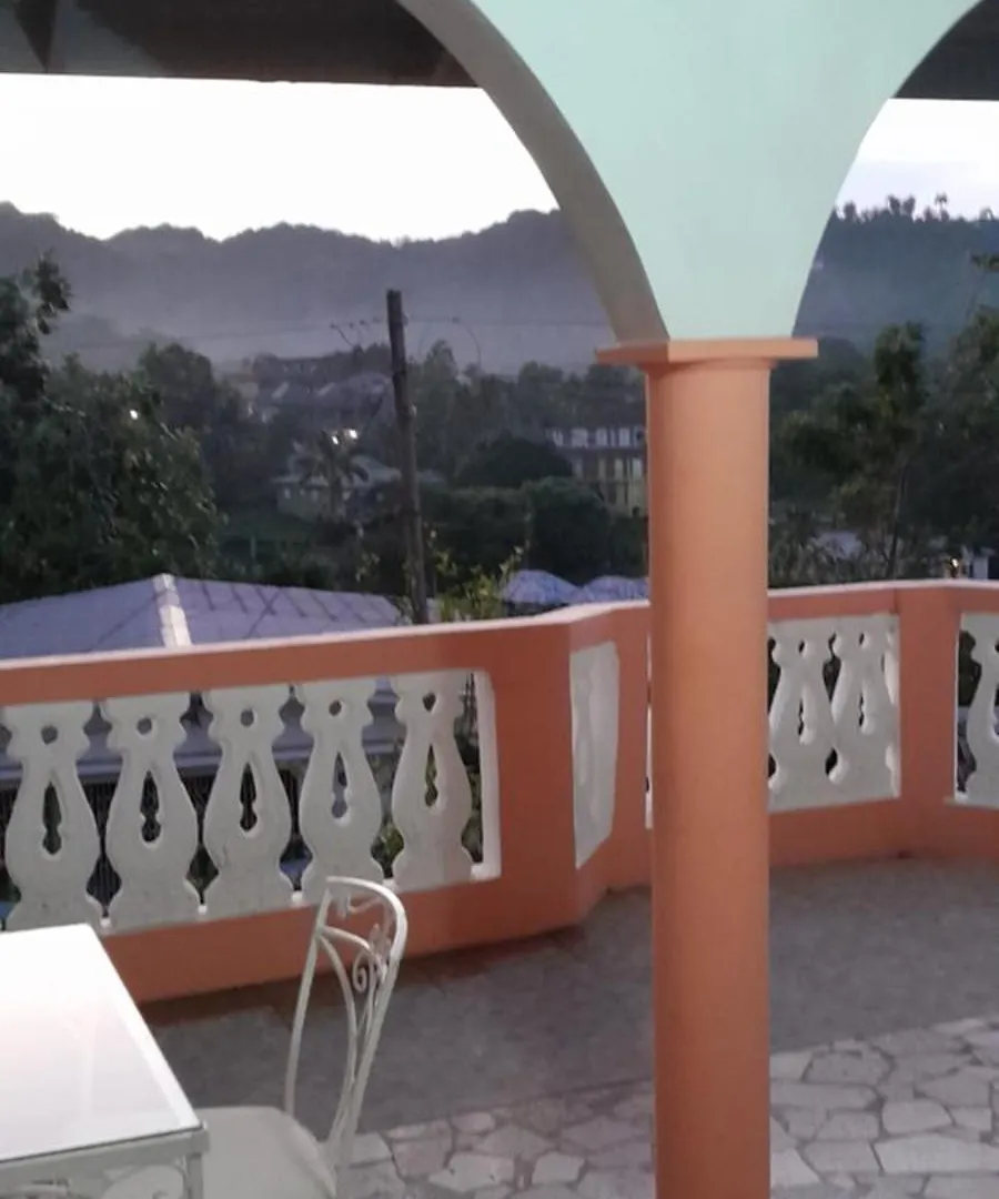 Pensionat Cozy Family Inn Port Antonio